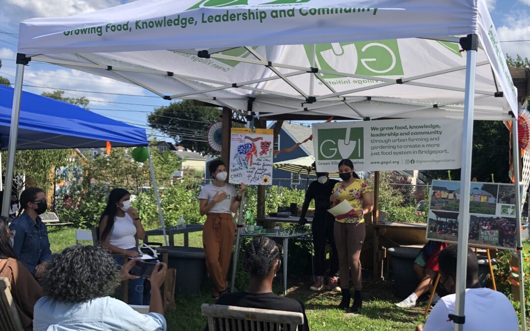 Green Village Initiative
