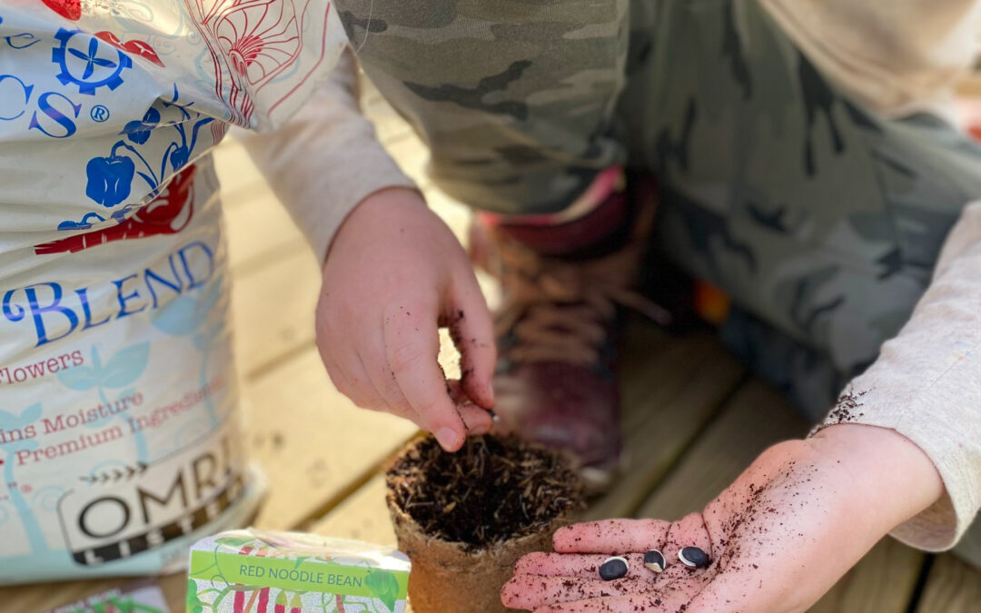 Local Story: Hudson Valley Seed Co.