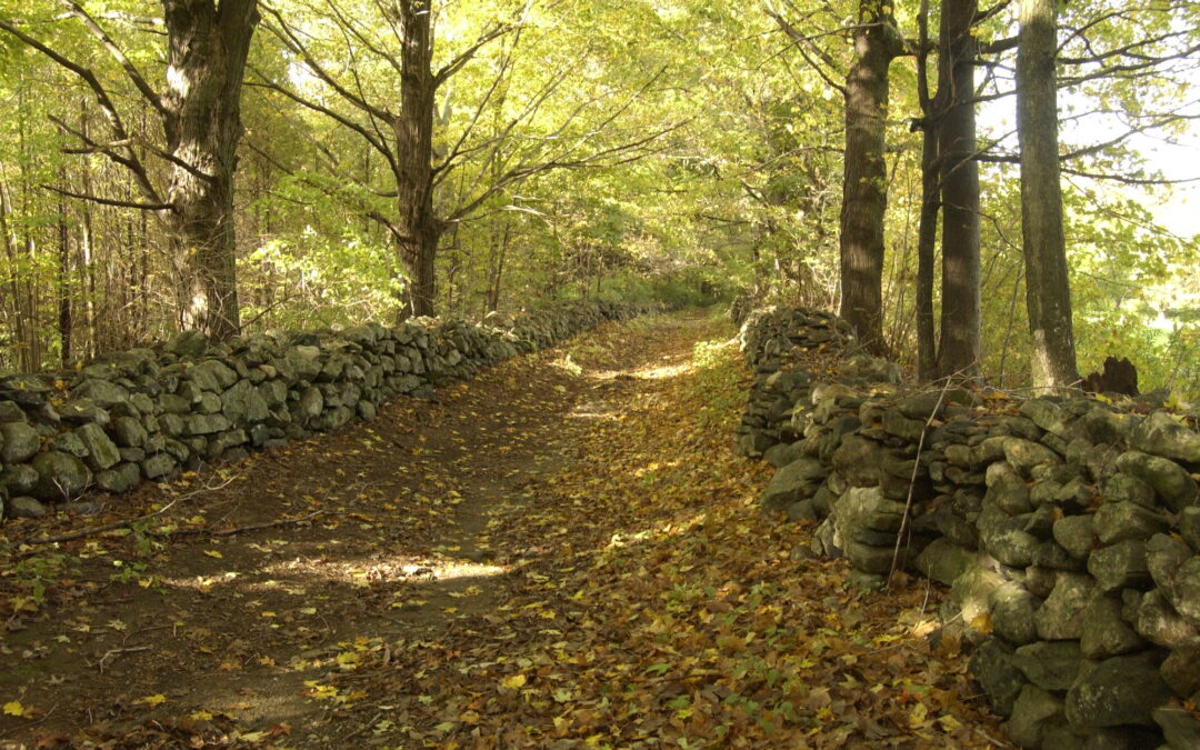Round Up for a Cause: Bethlehem Land Trust